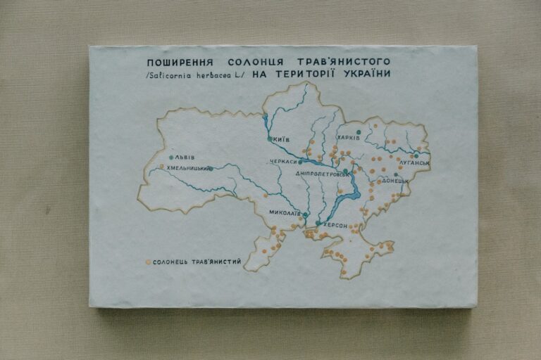 Reglas básicas para evitar sanciones en Manizales